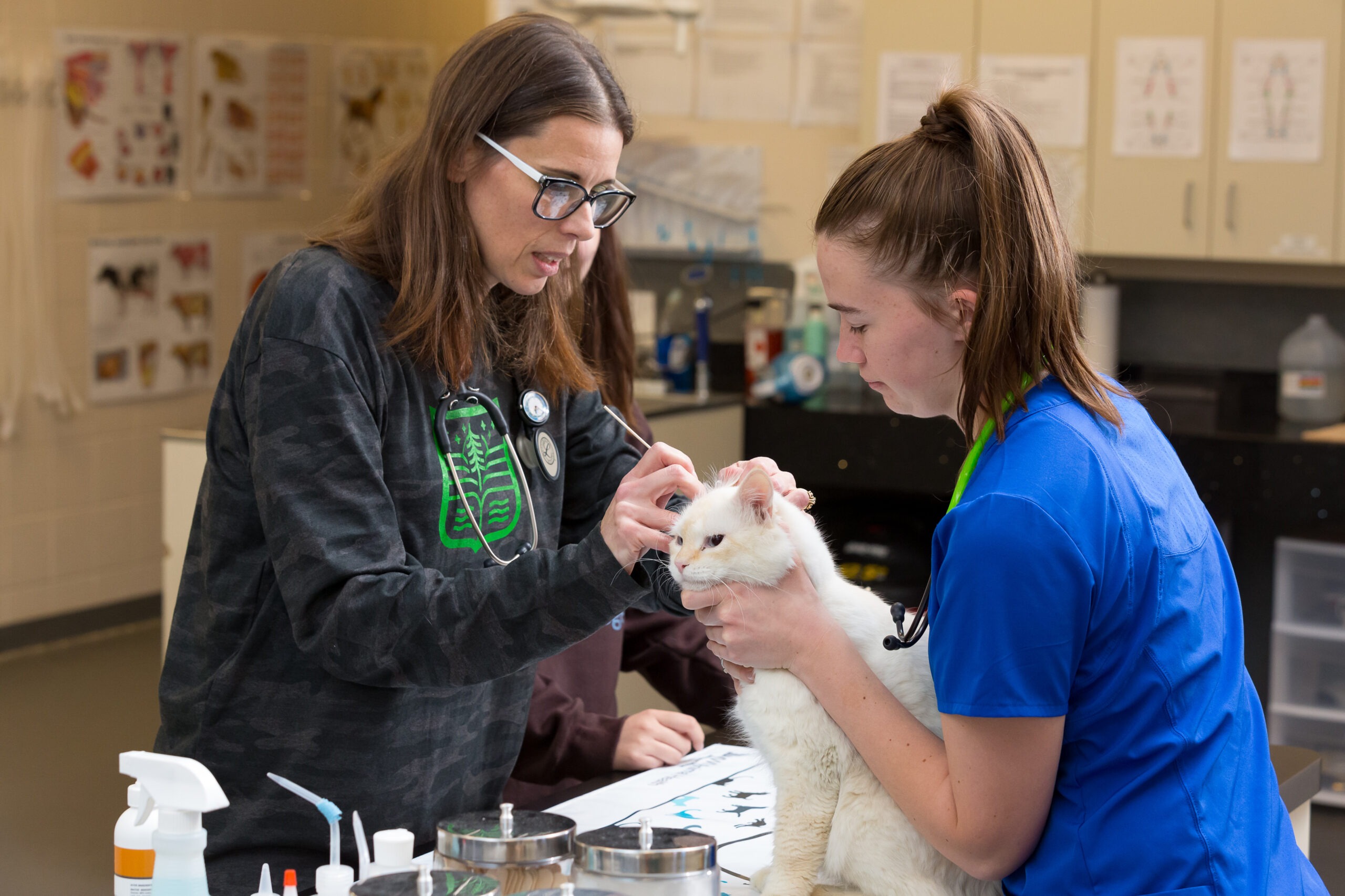 Veterinary Technician – Minnesota North College