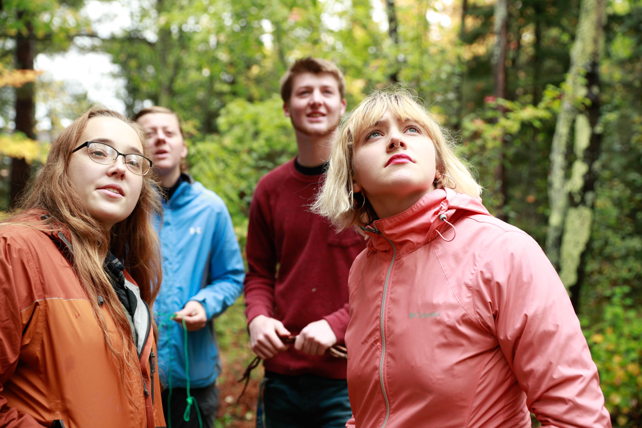 group of students in the woods looking up at trees