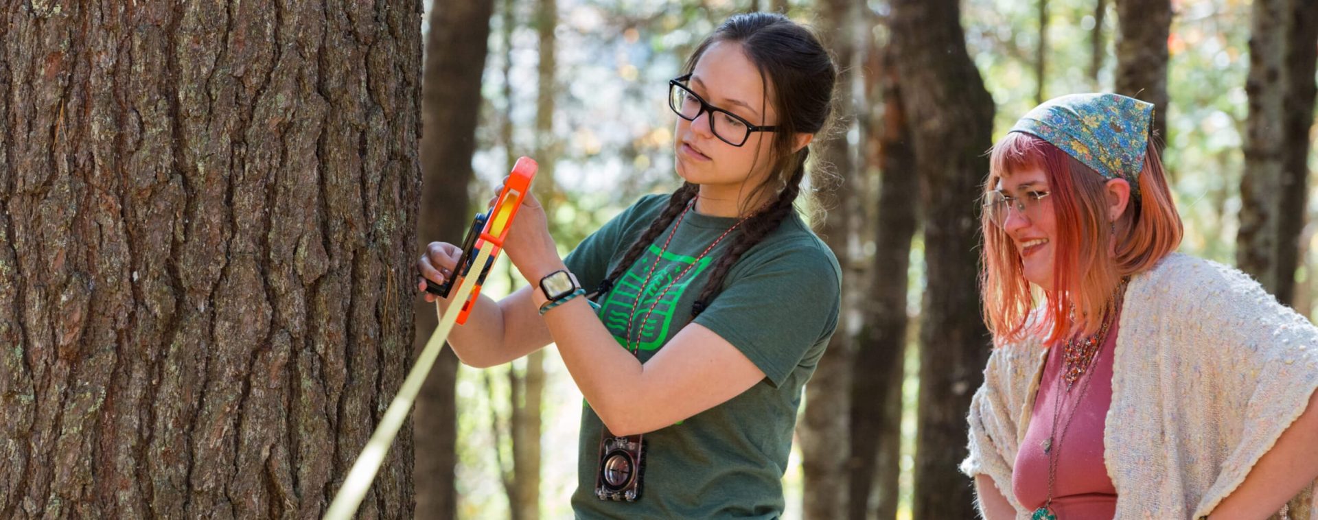 Women outside inspecting a tree.