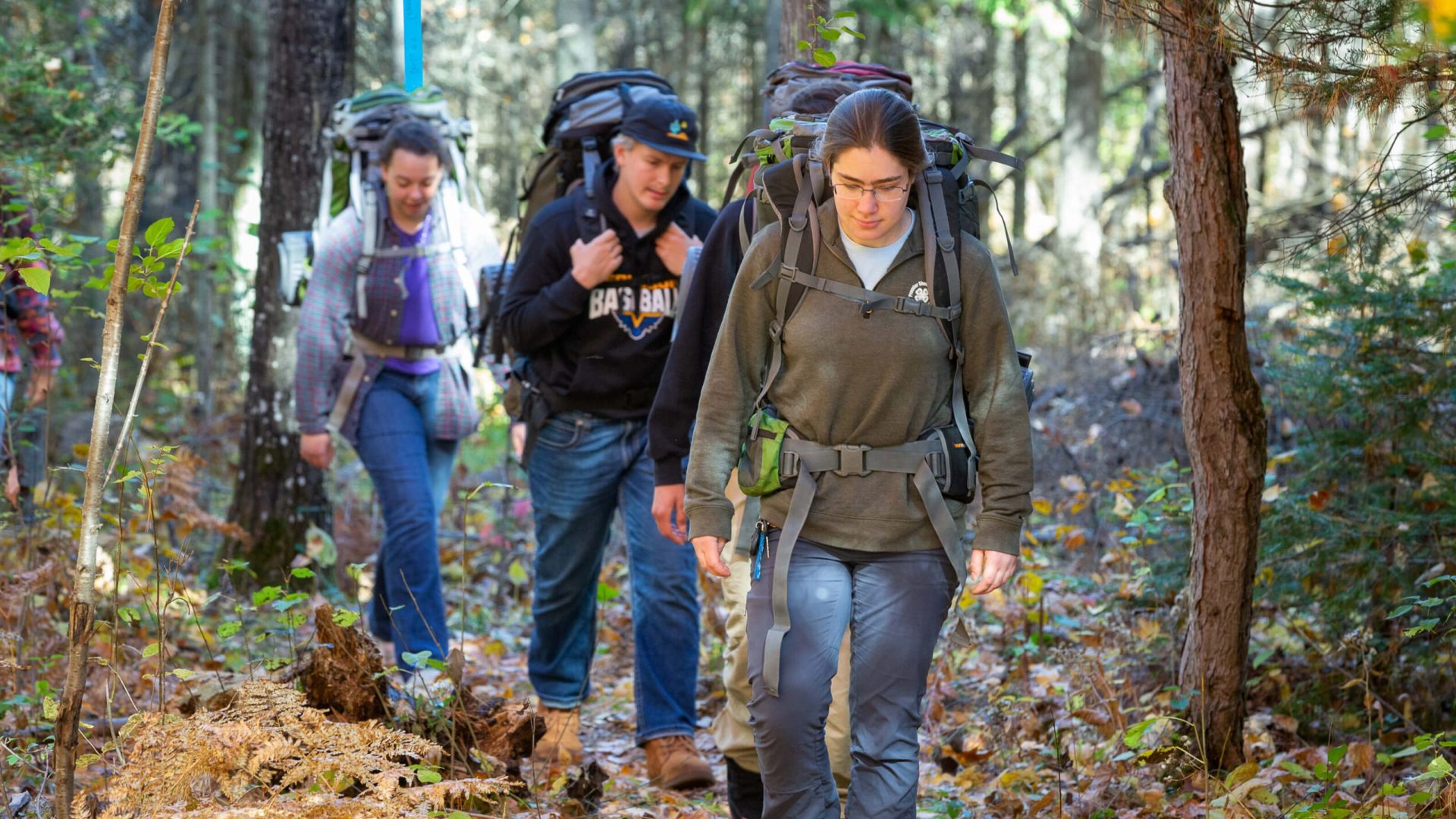 Students walking in the forest.