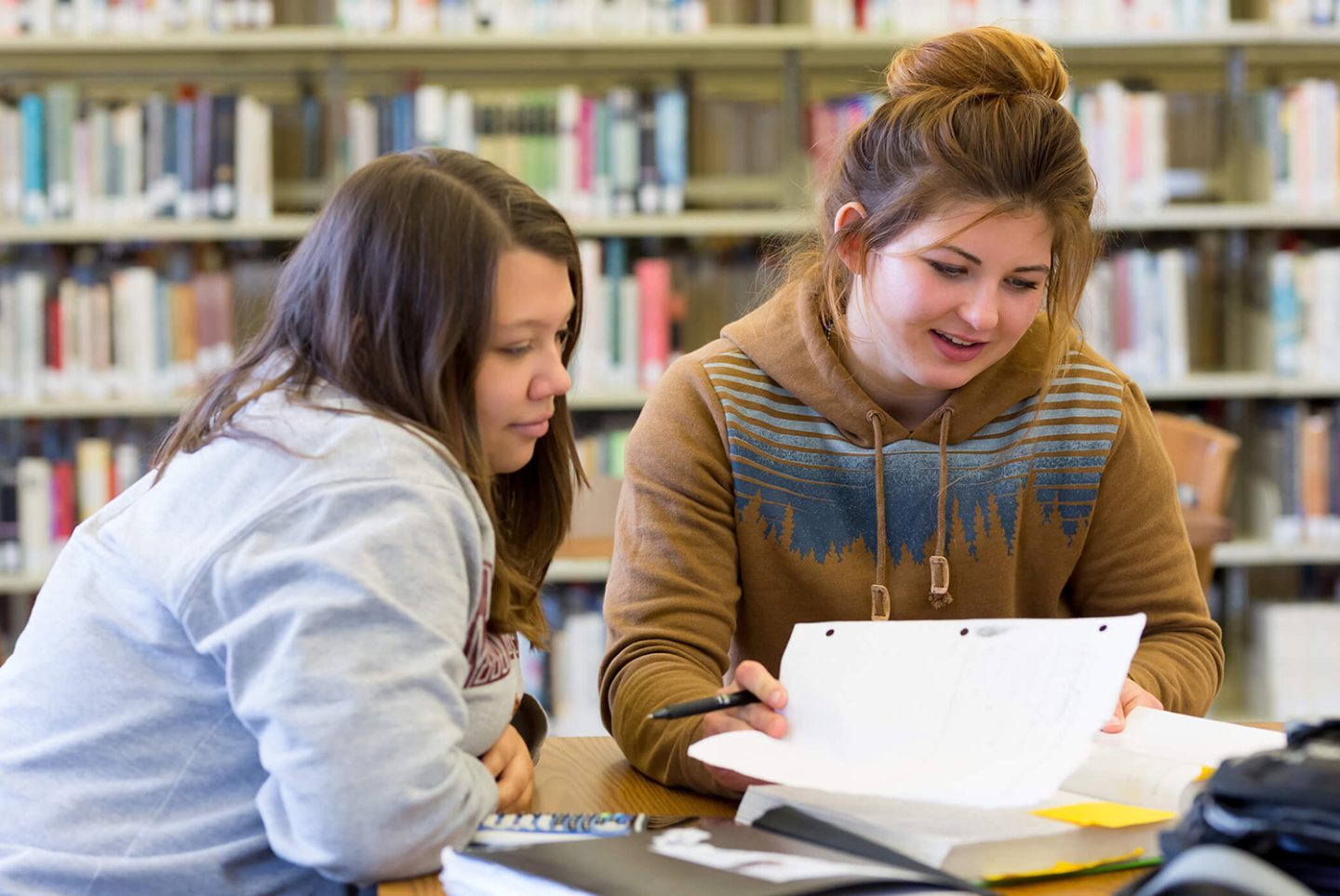 Mesabi Range Virginia Clubs & Organizations Minnesota North College