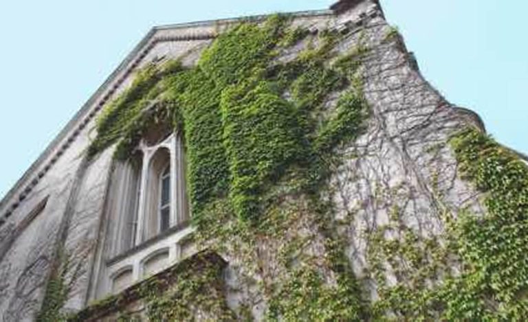 Photo of a building on the Rainy River campus.