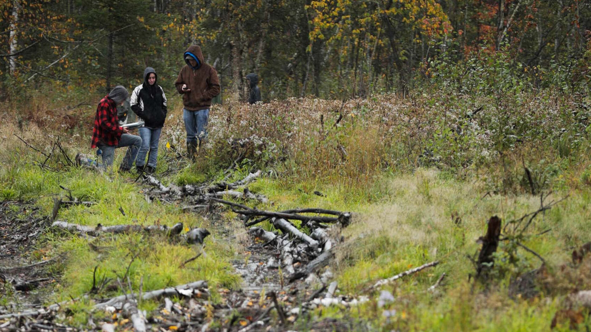 Students for wildland and wildlife.